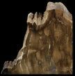 Petrified Wood Bookends - Oregon #52513-2